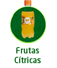 Nut Frutas Cítricas 250ml